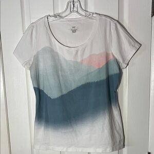 Arc’teryx woman’s Amidst valleys short sleeve T shirt whit blue pink cotton LG